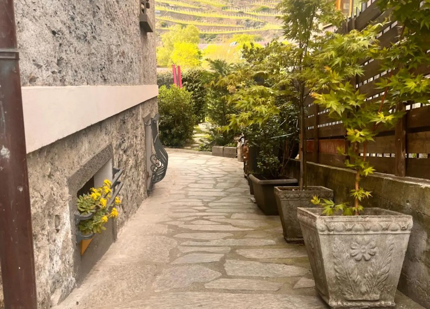 Affittacamere Hotel Stanza In Sondrio Coel